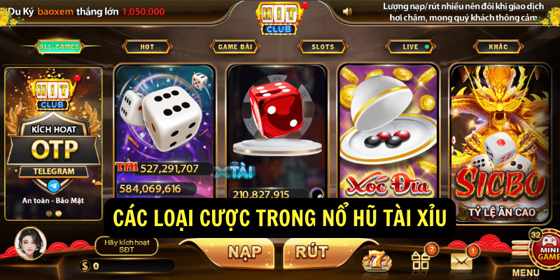 Các loại cược trong nổ hũ tài xỉu