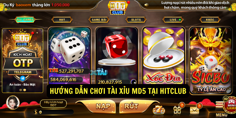 Hướng dẫn chơi tài xỉu md5 tại Hitclub