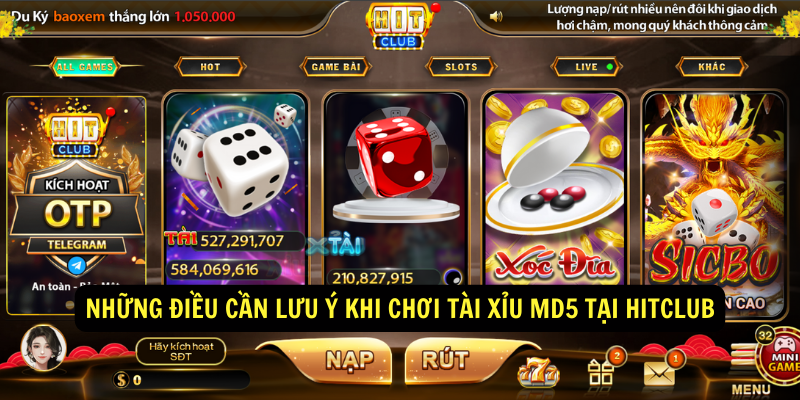 Những điều cần lưu ý khi chơi tài xỉu md5 tại Hitclub